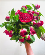 Red Peonies SOLD OUT