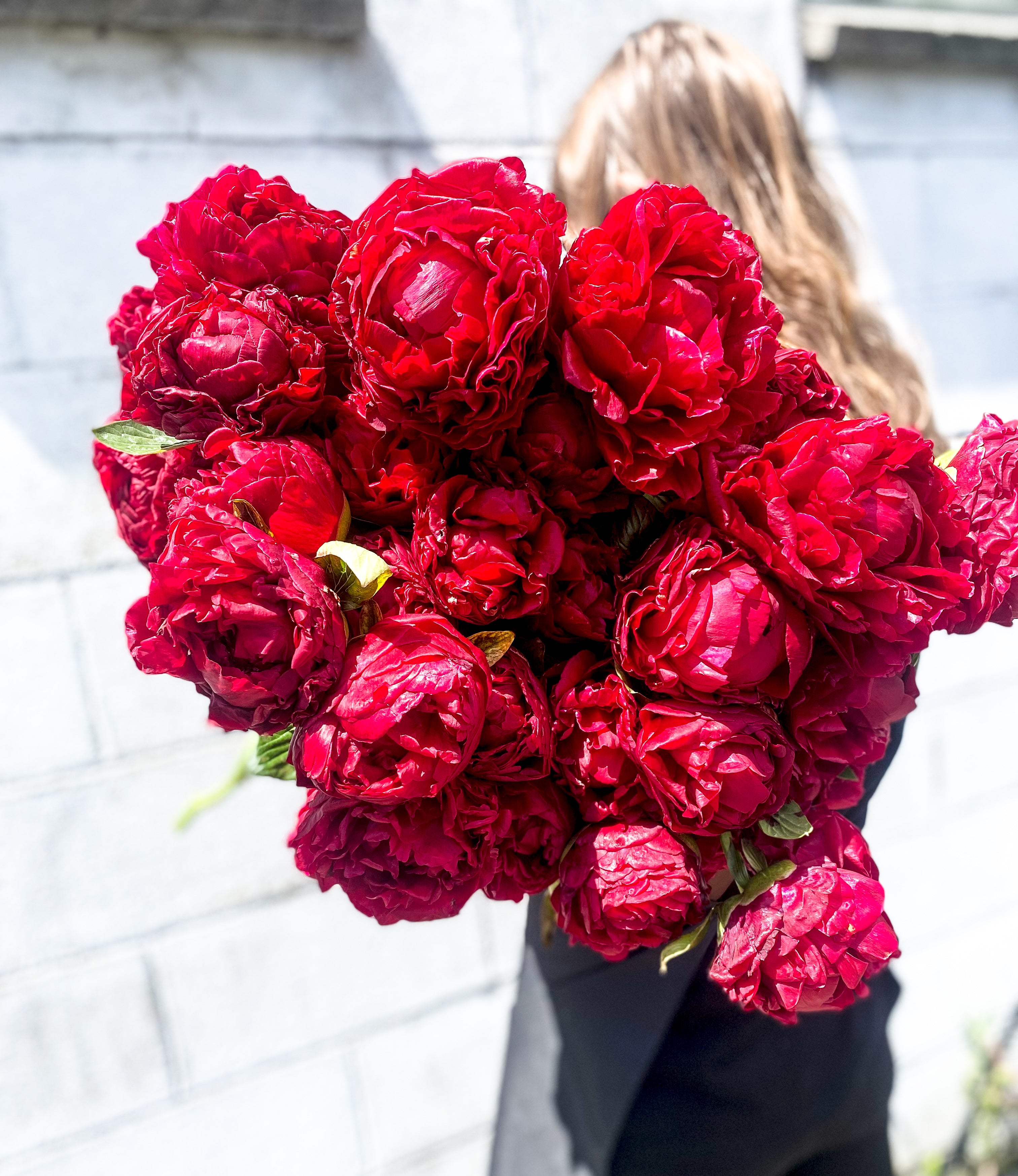 Red Peonies SOLD OUT