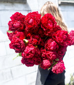 Red Peonies SOLD OUT