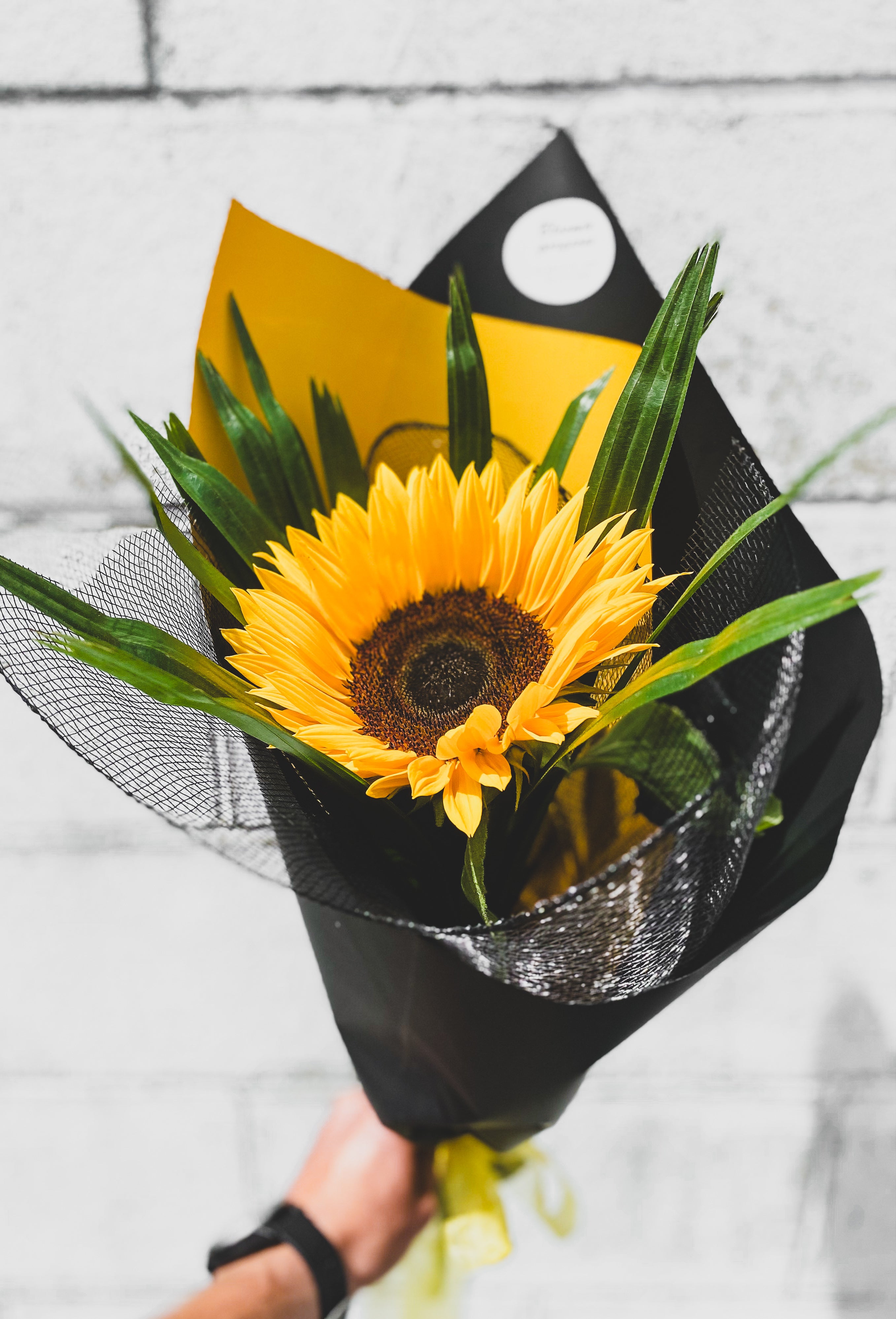 Single wrapped sunflower
